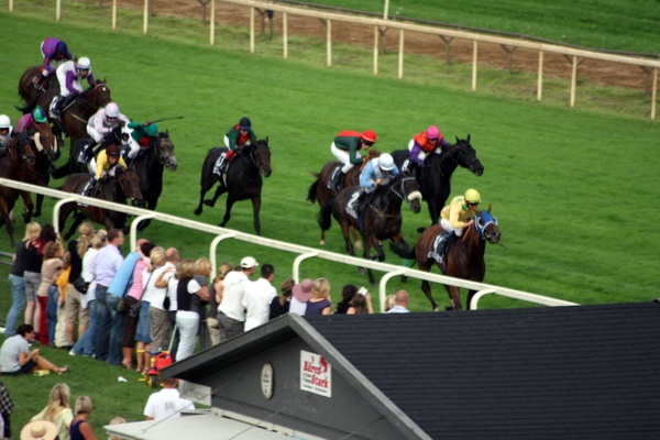 Ascot Renntag09   081.jpg